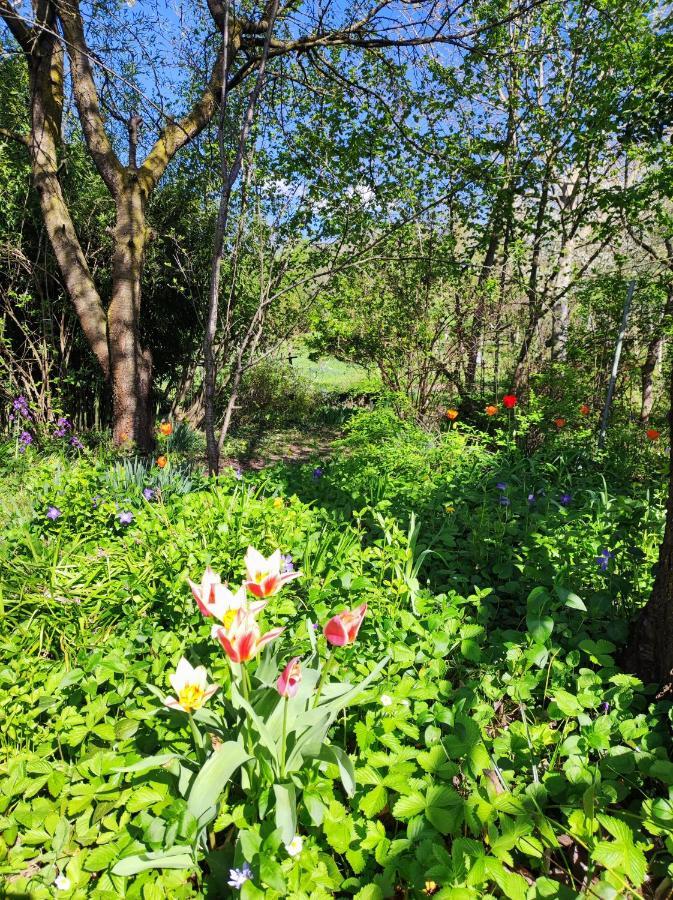 Il Giardino Del Gallo Cherasco Esterno foto