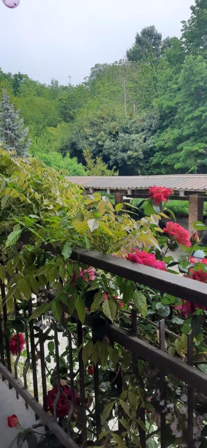 Il Giardino Del Gallo Cherasco Esterno foto