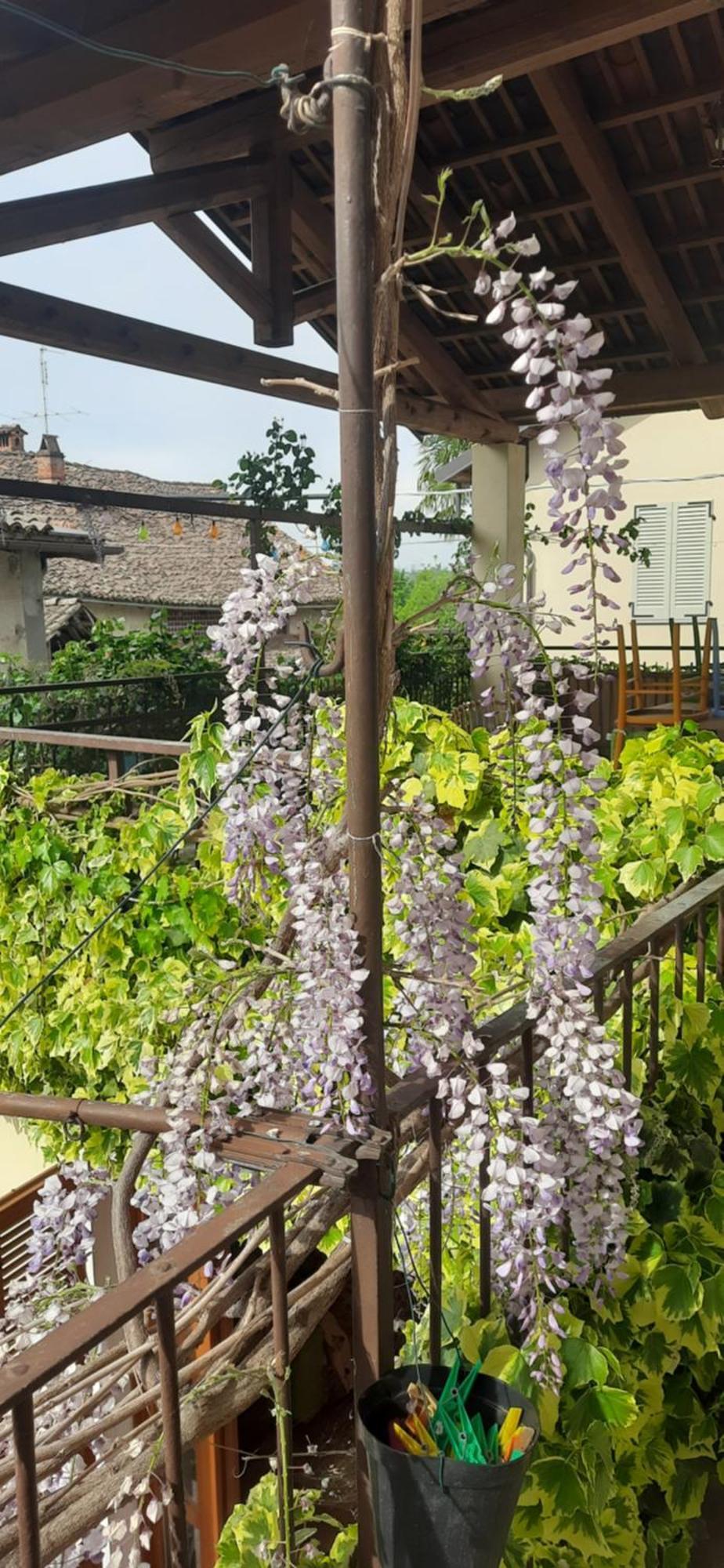 Il Giardino Del Gallo Cherasco Esterno foto