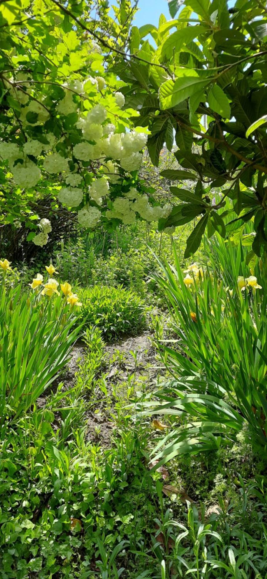 Il Giardino Del Gallo Cherasco Esterno foto