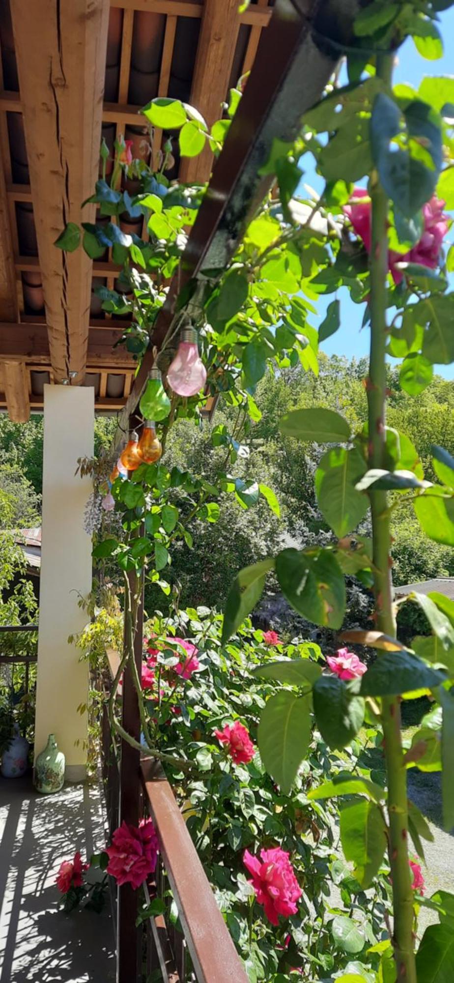 Il Giardino Del Gallo Cherasco Esterno foto