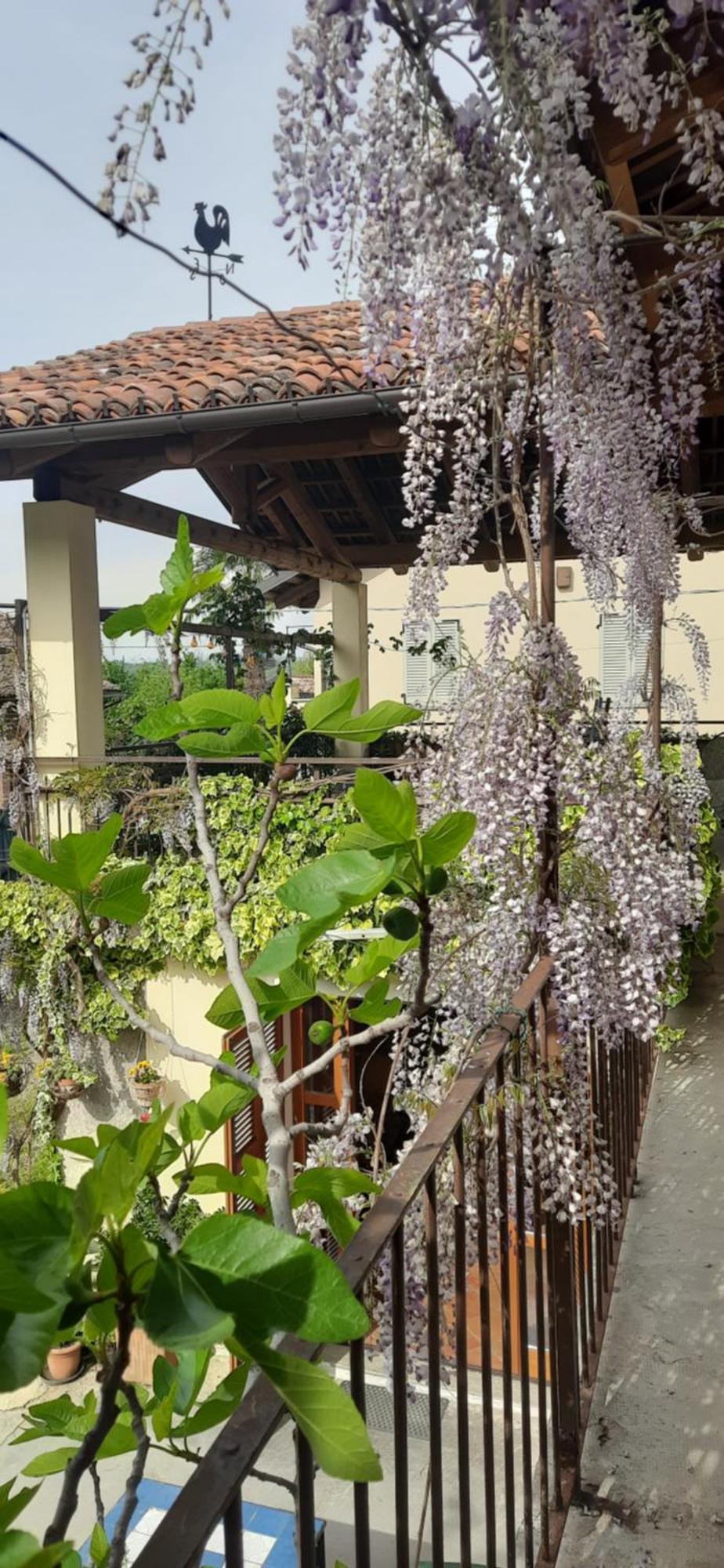 Il Giardino Del Gallo Cherasco Esterno foto