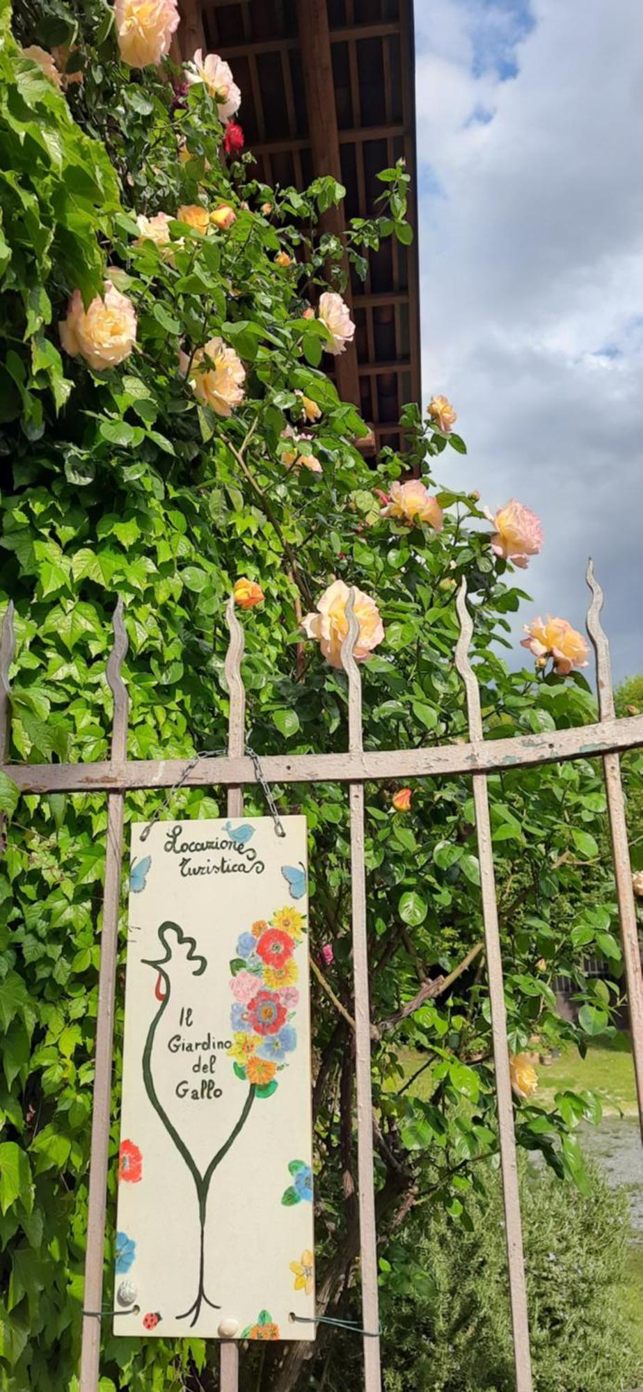 Il Giardino Del Gallo Cherasco Esterno foto
