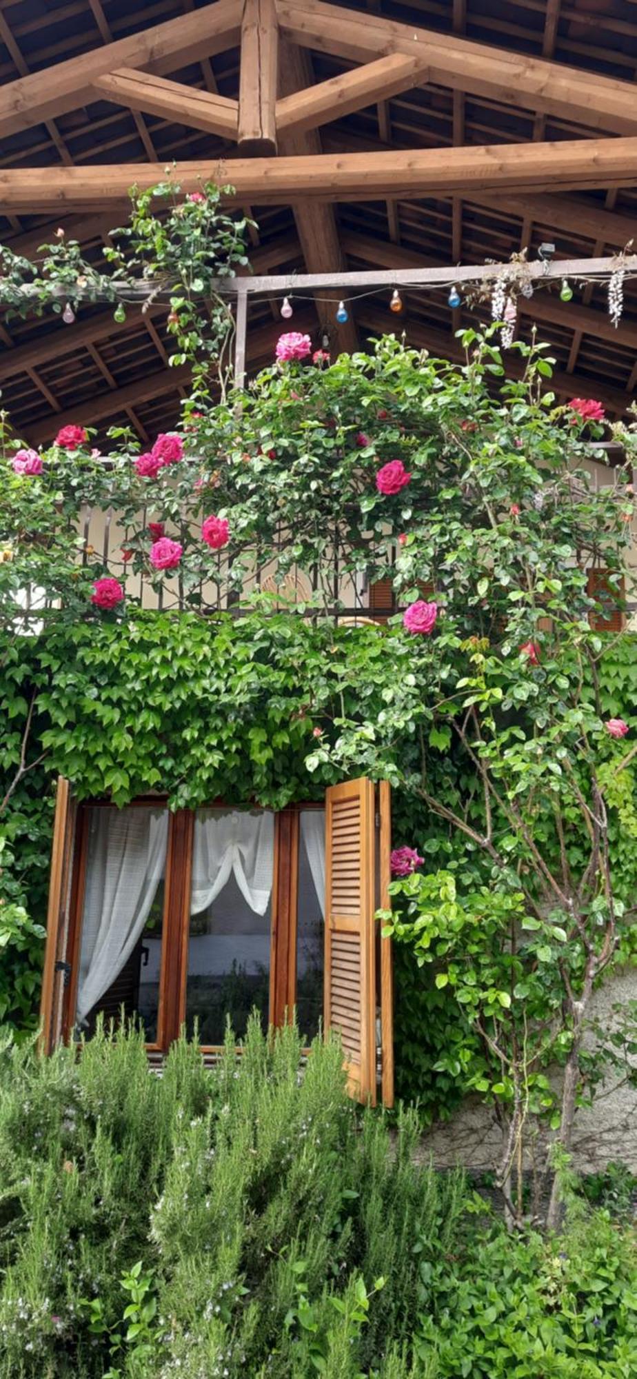 Il Giardino Del Gallo Cherasco Esterno foto